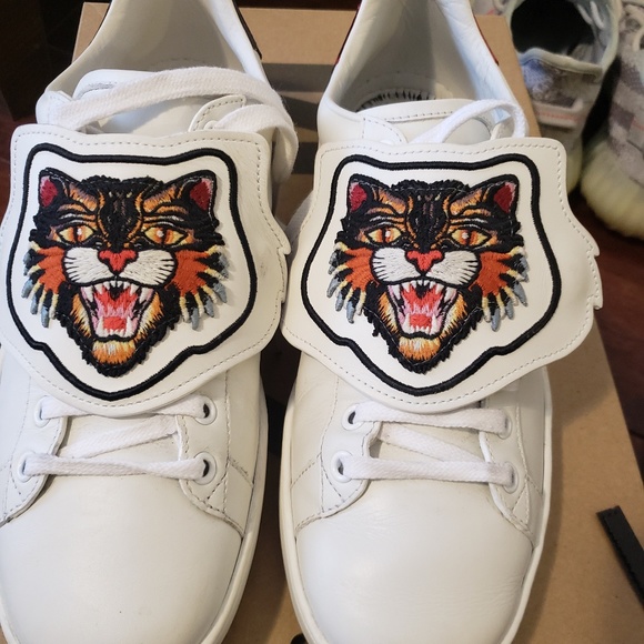 Meet your Posher, Moose - Picture 1 of 2